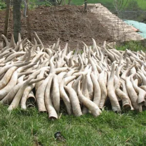 Productos y preparados personalizados para la agricultura ecológica y biodinámica